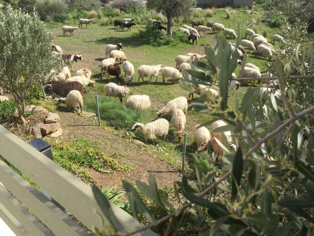 Serendipity Crete Agia Galini Eksteriør bilde